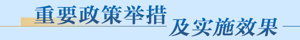 重要政策舉措及實施效果
